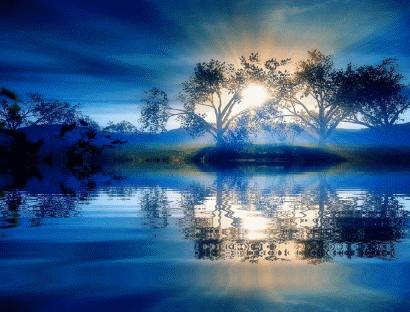 Evasion